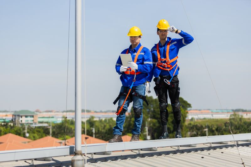 Business Roof Inspection detail