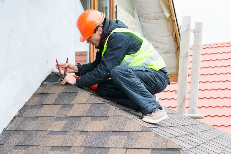 Professional Roofing Work